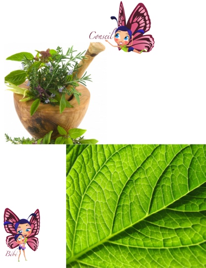 pharmacie de la plage hyere 83400 phytotherapie
